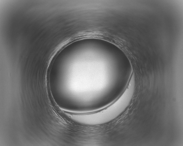 X0000059820148200510211004