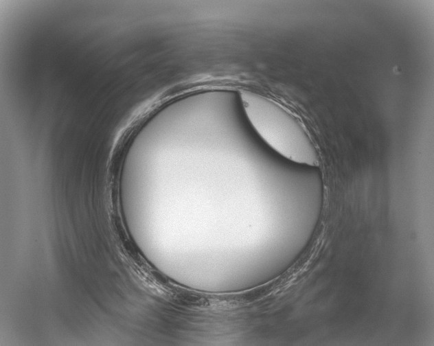 X0000059820149200510211004