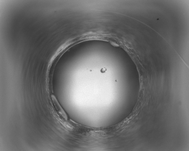 X0000059820150200510211004