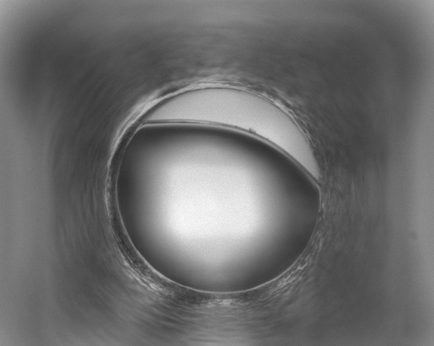 X0000059820152200510211004