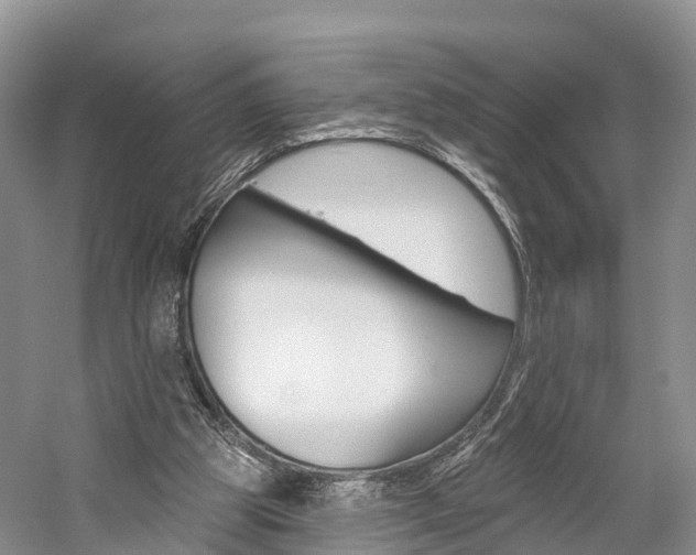 X0000059820153200510211004