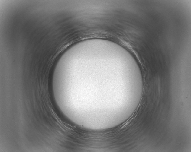 X0000059820154200510211004