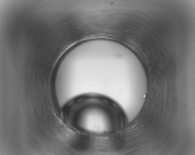 X0000059820156200510211004