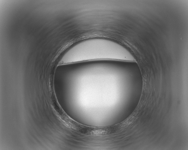 X0000059820158200510211004