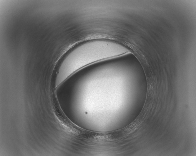 X0000059820160200510211004