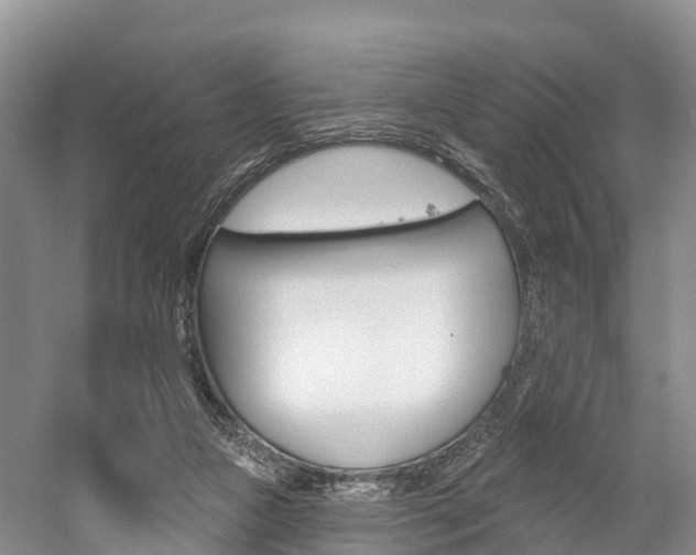 X0000059820161200510211004