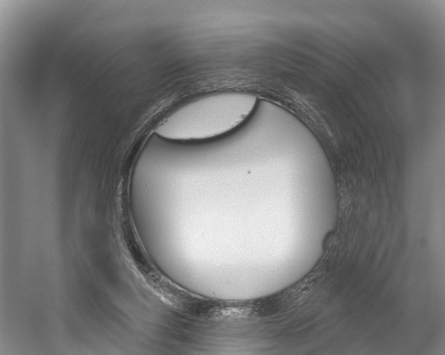 X0000059820163200510211004