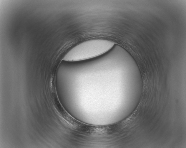 X0000059820166200510211005