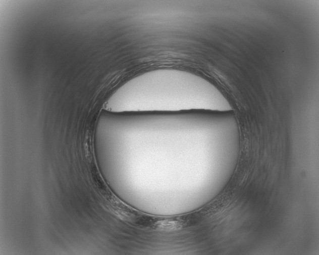 X0000059820169200510211005