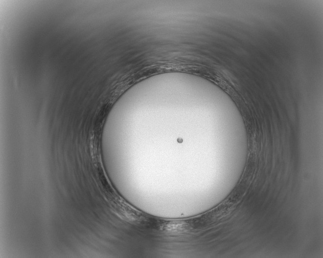 X0000059820173200510211005