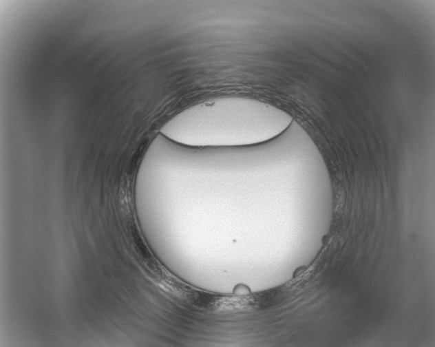 X0000059820179200510211005