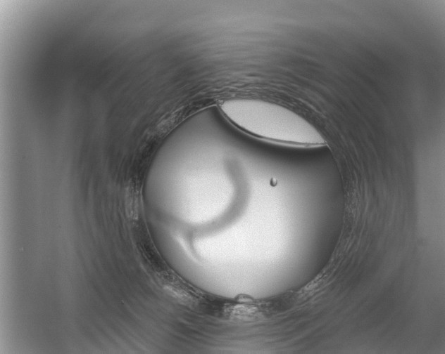 X0000059820180200510211005