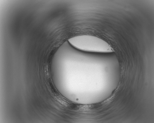 X0000059820182200510211005