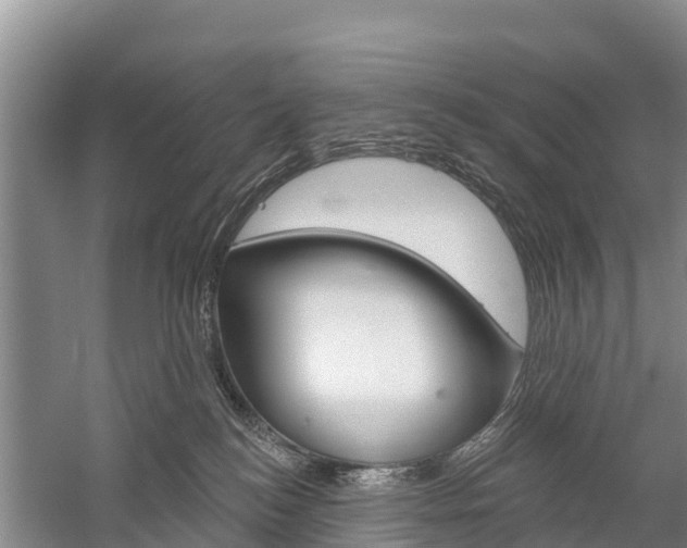 X0000059820184200510211005