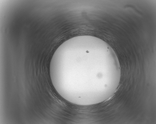 X0000059820187200510211005