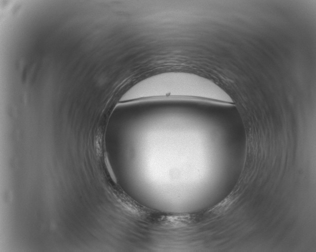 X0000059820188200510211005