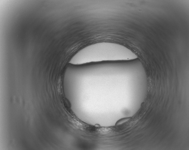 X0000059820189200510211005