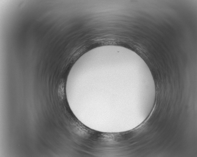 X0000059820190200510211005