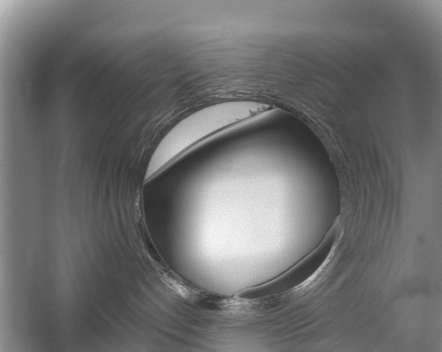 X0000059820192200510211005