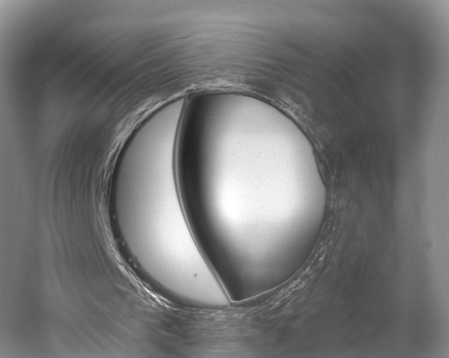 X0000059820193200510211004