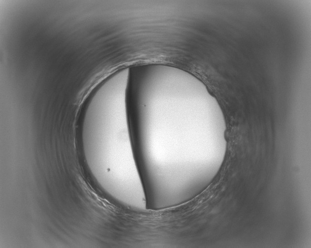 X0000059820194200510211004