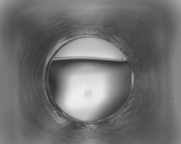 X0000059820195200510211004