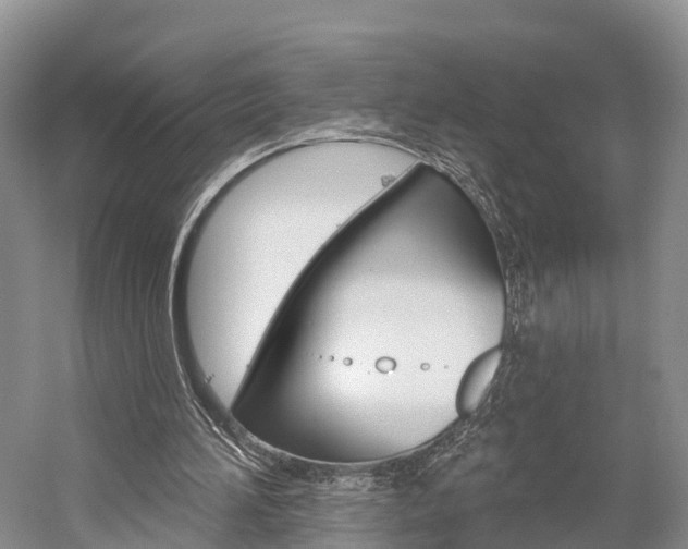 X0000059820196200510211004