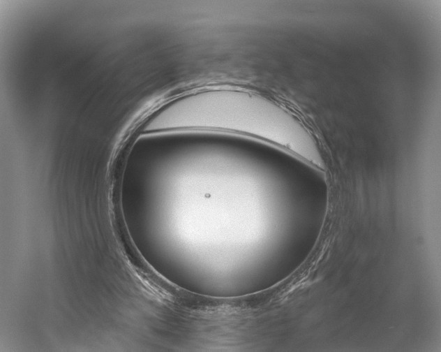 X0000059820197200510211004