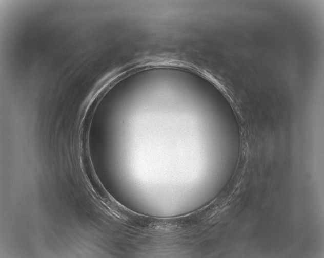 X0000059820199200510211004