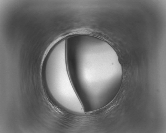 X0000059820200200510211004