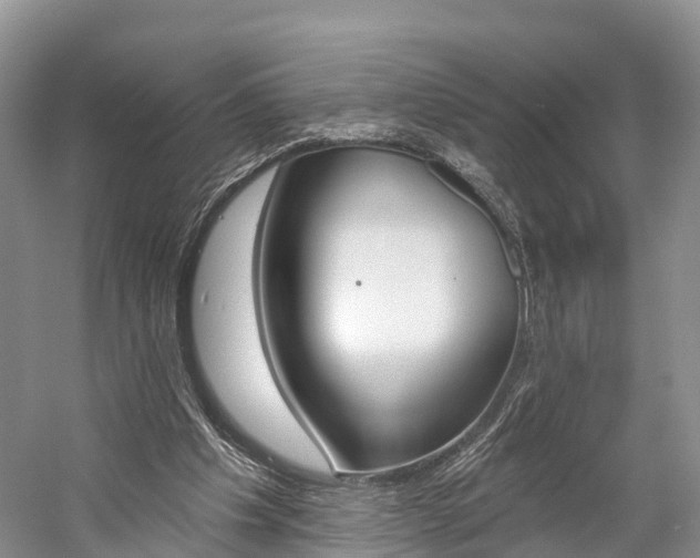 X0000059820201200510211004