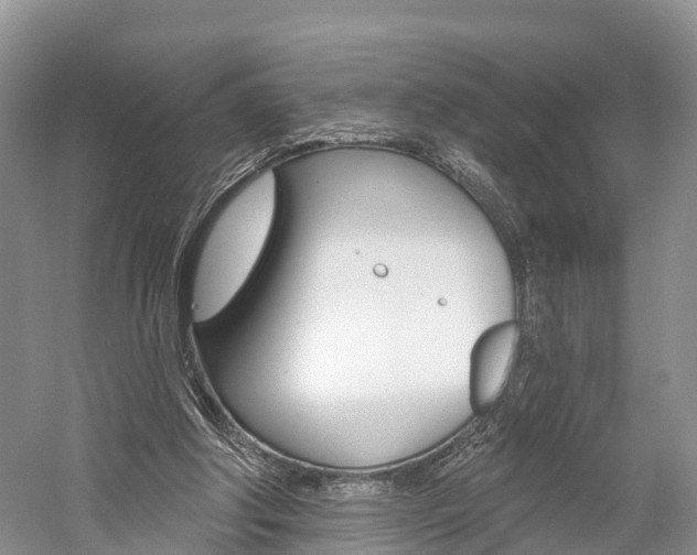 X0000059820202200510211004