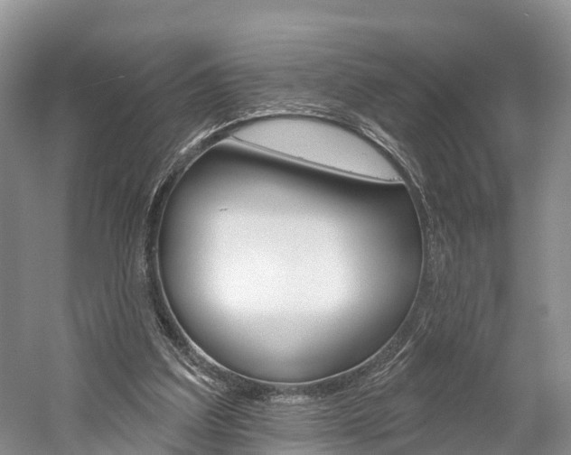 X0000059820203200510211004