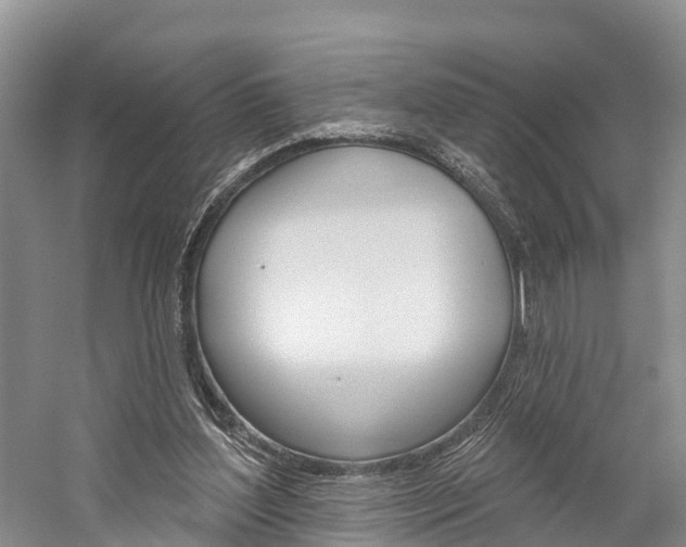 X0000059820204200510211004