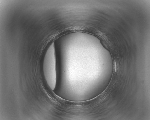 X0000059820205200510211004