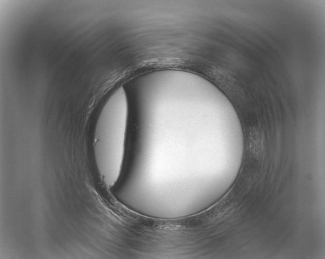 X0000059820206200510211004