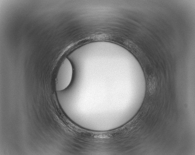 X0000059820208200510211004