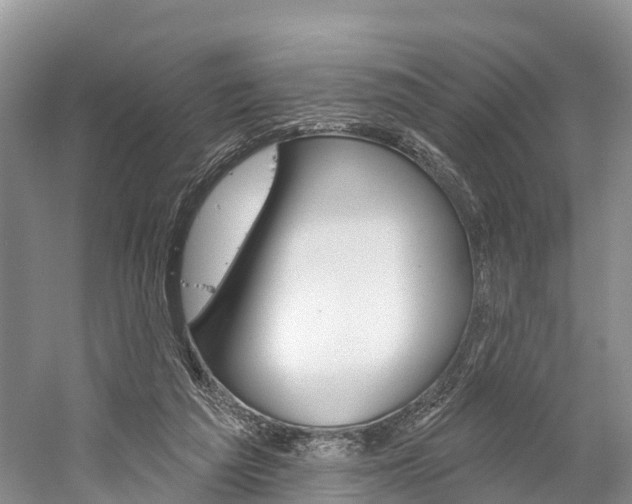 X0000059820209200510211004