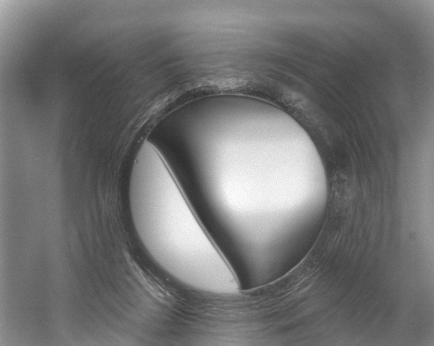 X0000059820212200510211004