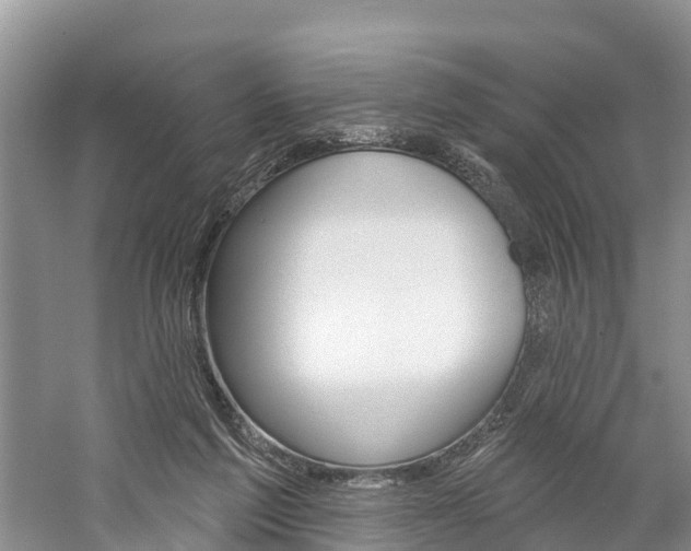 X0000059820213200510211004