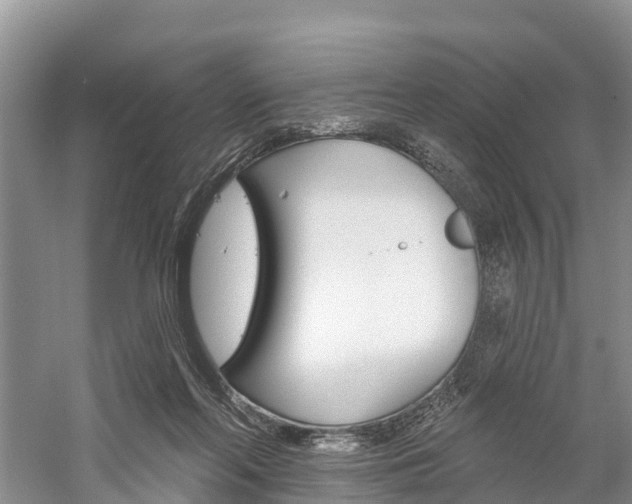 X0000059820214200510211004