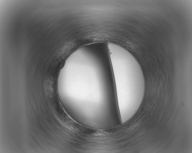 X0000059820215200510211004