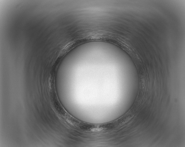 X0000059820216200510211004