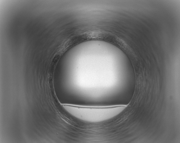 X0000059820217200510211004