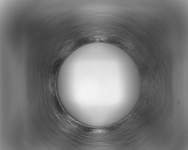 X0000059820218200510211004