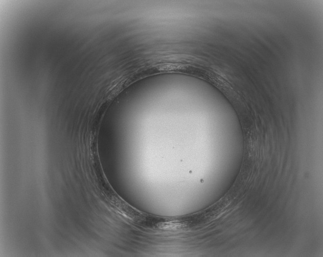 X0000059820219200510211004