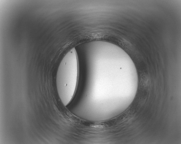 X0000059820220200510211004