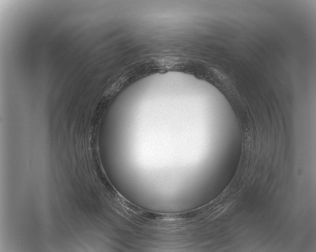 X0000059820221200510211004