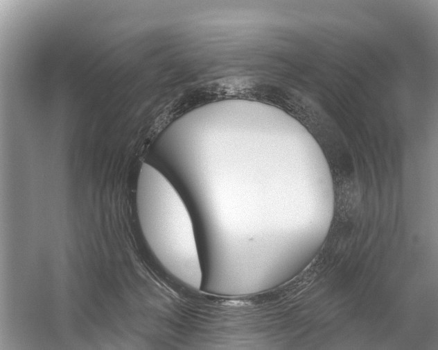 X0000059820222200510211004