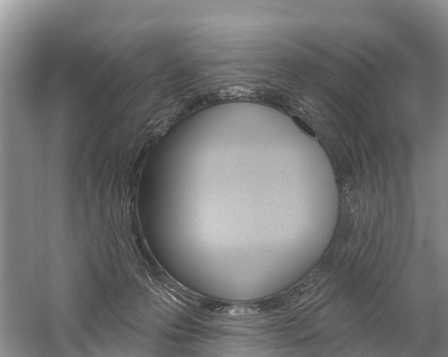 X0000059820223200510211004